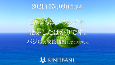 KIND-BASIL-WP_PIX_20210509a